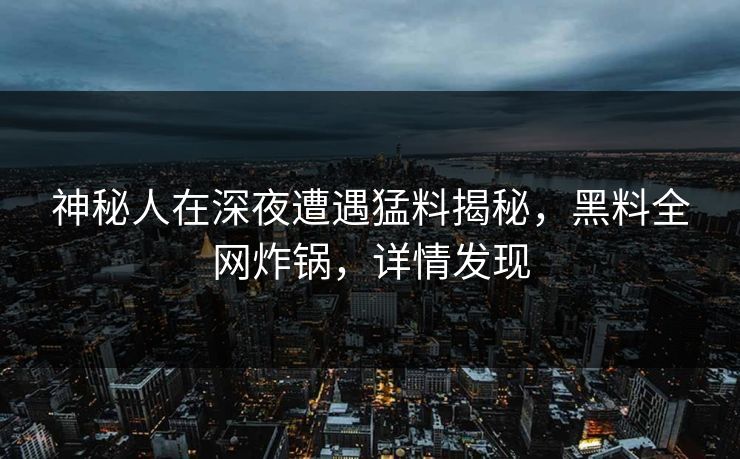 神秘人在深夜遭遇猛料揭秘，黑料全网炸锅，详情发现