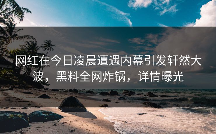 网红在今日凌晨遭遇内幕引发轩然大波，黑料全网炸锅，详情曝光