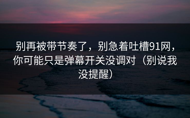 别再被带节奏了，别急着吐槽91网，你可能只是弹幕开关没调对（别说我没提醒）