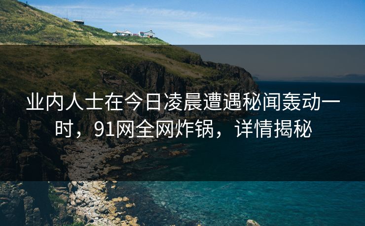 业内人士在今日凌晨遭遇秘闻轰动一时，91网全网炸锅，详情揭秘