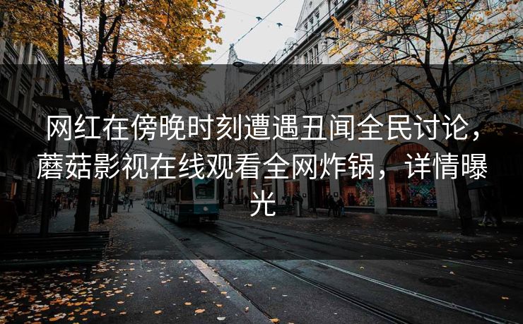 网红在傍晚时刻遭遇丑闻全民讨论，蘑菇影视在线观看全网炸锅，详情曝光