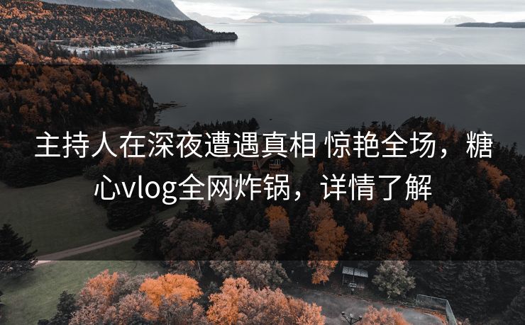 主持人在深夜遭遇真相 惊艳全场，糖心vlog全网炸锅，详情了解